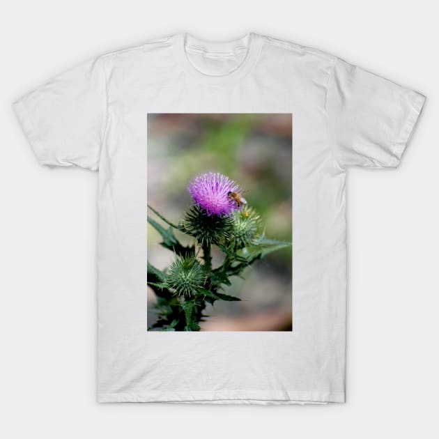 Thistle With Bee T-Shirt by GP1746